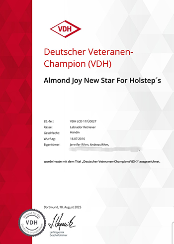 Heidelberg Hills Labradors